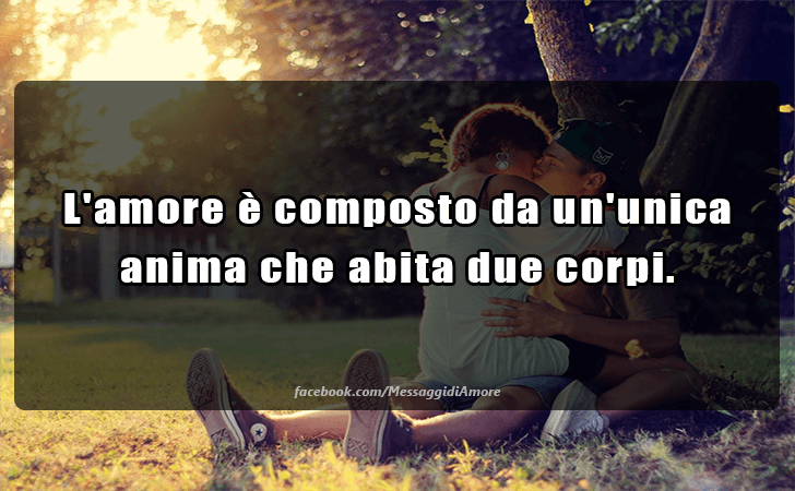 L amore e composto da un unica anima che abita due corpi. (Messaggi d'Amore, Frasi e Immagini)