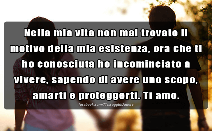 Nella mia vita non mai trovato il motivo della mia esistenza, ora che ti ho conosciuta ho incominciato a vivere, sapendo di avere uno scopo, amarti e proteggerti. Ti amo. (Messaggi d'Amore, Frasi e Immagini)