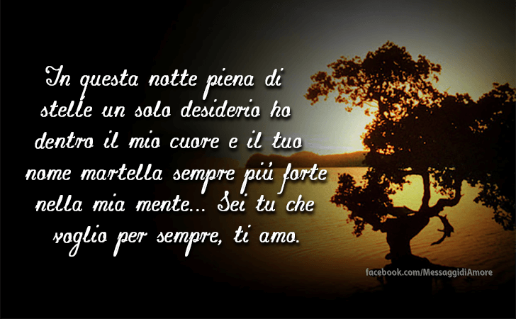 In questa notte piena di stelle un solo desiderio ho dentro il mio cuore e il tuo nome martella sempre piu forte nella mia mente... Sei tu che voglio per sempre, ti amo. (Messaggi d'Amore, Frasi e Immagini)