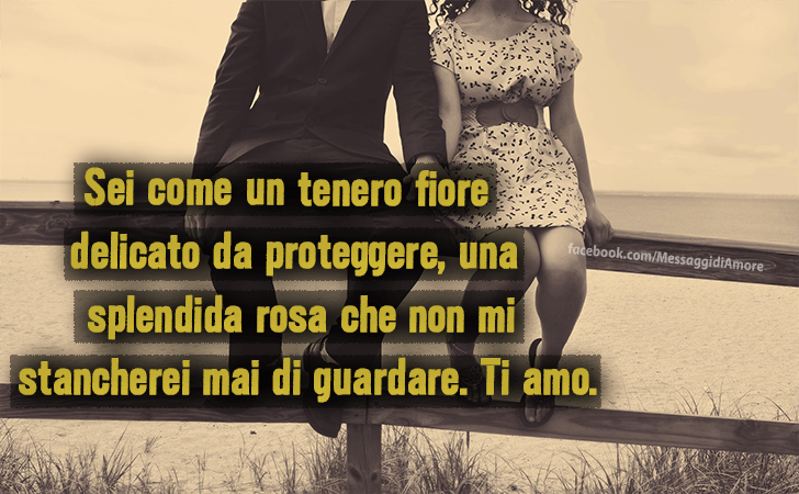 Sei come un tenero fiore delicato da proteggere, una splendida rosa che non mi stancherei mai di guardare. Ti amo. (Messaggi d'Amore, Frasi e Immagini)