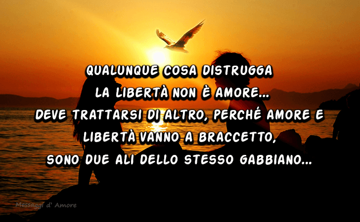 Qualunque cosa distrugga la libert non  amore.
Deve trattarsi di altro, perch amore e libert vanno a braccetto,
sono due ali dello stesso gabbiano... (Messaggi d'Amore, Frasi e Immagini)