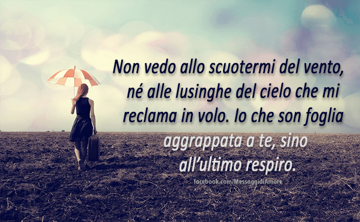 Messaggi d'Amore |  Non vedo allo scuotermi del vento, ne alle lusinghe del cielo che mi reclama in volo. Io che son foglia aggrappata a te, sino all'ultimo respiro.