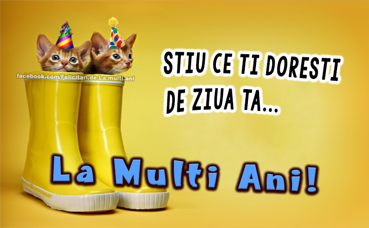 Felicitari de La multi ani | Stiu ce ti doresti de ziua ta...La Multi Ani!