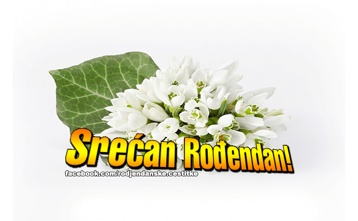 Srecan Rodjendan! - Čestitke, Slike i Poruke za Rođendan